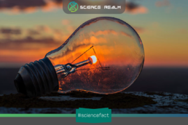 Thomas Edison không phải là người đầu tiên phát minh ra bóng đèn điện