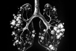 Trong mỗi hơi thở, phổi của chúng ta chỉ hấp thụ được khoảng 5% lượng không khí hít vào
