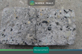 Bê tông cao su (Rubber concrete) – Vật liều được chế tạo bằng cách tái chế lốp xe phế liệu