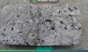 Bê tông cao su (Rubber concrete) – Vật liều được chế tạo bằng cách tái chế lốp xe phế liệu