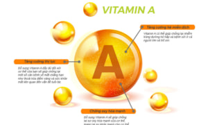 Kiến thức hữu ích về Vitamin A ( Hoặc Tiền Tố A Beta Caroten)
